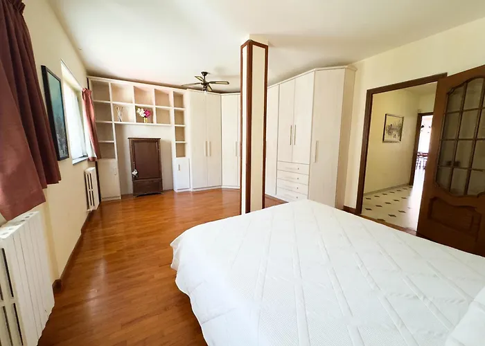 Serendipity * 阿拉西奥