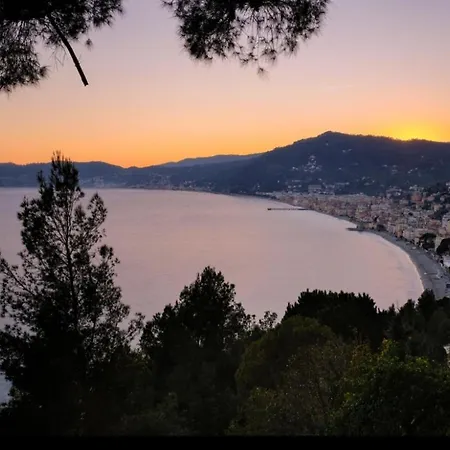 Serendipity * 알라시오