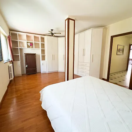 Serendipity * 알라시오