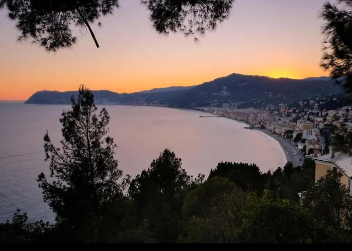 Serendipity * 알라시오